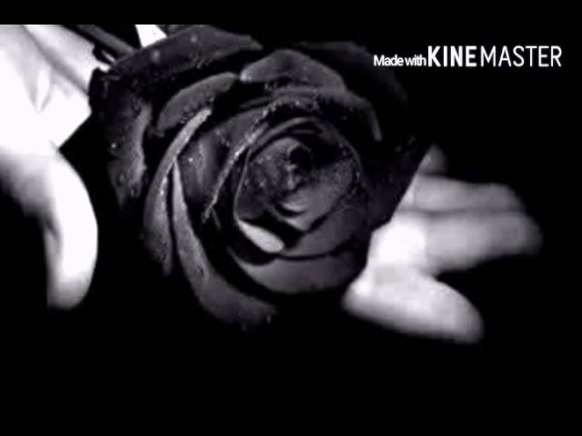 Bunga Hitam Persembahanku Youtube
