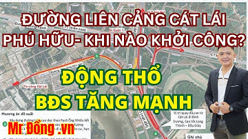 ĐƯỜNG LIÊN CẢNG CÁT LÁI - CẢNG PHÚ HỮU| KHỞI CÔNG CẢ KHU ĐÔNG VUI MỪNG