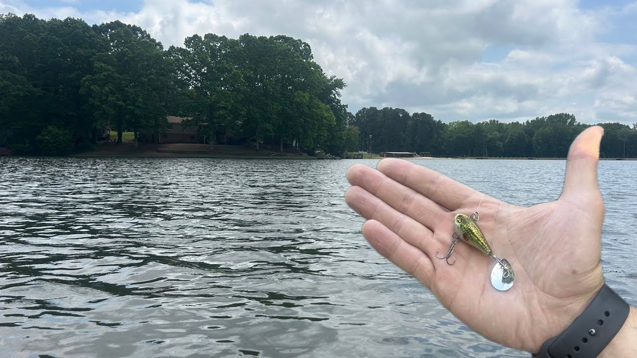 Rambling and BASS FISHING!