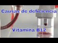 5 Causas de deficiencia de vitamina B12
