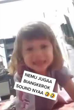 Vido asli bocil yang bilang/pantek pantek pantek.