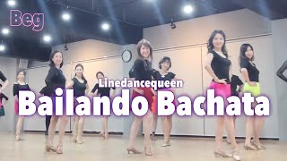 Bailando Bachata Line Dance L Beginner L 바일란도 바차타 라인댄스 L Linedancequeen