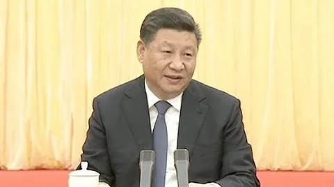 Chinese President Joins Panel Discussion with Political Advisors - DayDayNews