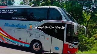 Story Bus Rosalia Indah