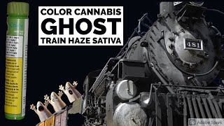 Color Cannabis GHOST TRAIN HAZE Sativa