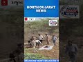 રાજુલા નજીક સિંહનો હુમલો: ઉત્તરાખંડના યુવકનું મોત, વન વિભાગે તપાસ શરૂ કરી