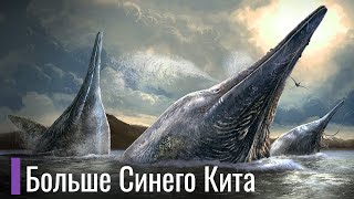 Ихтиозавры - Крупнейшие Животные На Планете