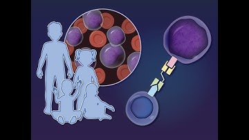 Blinatumomab bij B-cel acute lymfatische leukemie | NEJM