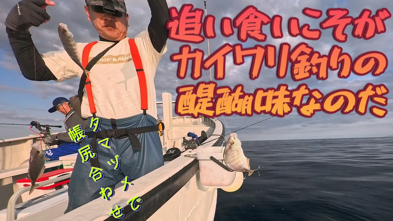 追い食いこそがカイワリ釣りの醍醐味なのに……～夕マヅメでなんとか帳尻合わせ。でもなぜか食いは単発～（2026.3.1 宇佐美・治久丸 午後カイワリ）
