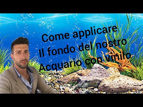 Video: Come Incollare Lo Sfondo All'acquario