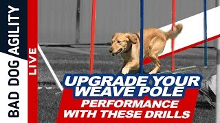 Upgrade Your Weave Pole Performance with These Drills