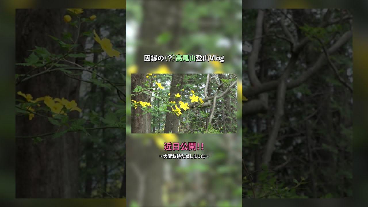 【禊の(?)高尾山登山】Vlog近日公開🏔お待たせしました！ #NEPHLA #vtuber #vsinger #高尾山 #Vlog #shorts