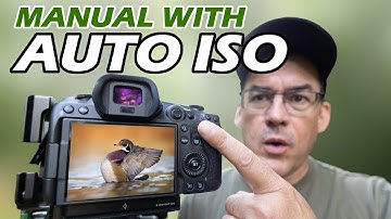 PRO CAMERA HACK: Manual with AUTO ISO.  Why this may be the best setting ever!