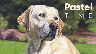 Cream Labrador Pet Portrait in Soft Pastel - Timelapse screenshot 5
