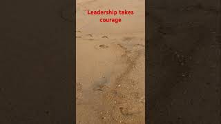 #leadershipbytes #metaphors