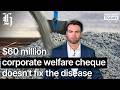 Ryan Bridge: A $60 million corporate welfare cheque for Golden Bay cement doesn't fix the disease.