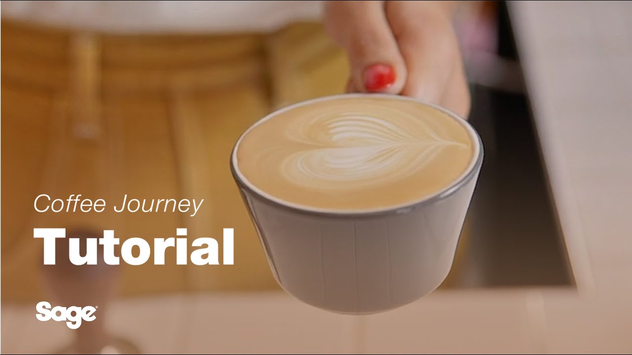 Coffee Tutorials | A guide to latte art 