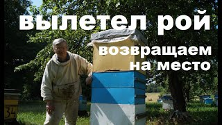 Вышел Рой из Контрольного Улья!  Не беда!  Возвращаем назад!