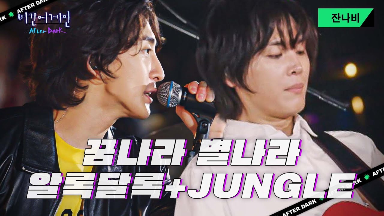 잔나비가 있는 곳, 여기가 페스티벌🎇 '꿈나라 별나라' + '알록달록' + 'JUNGLE'♬｜비긴어게인 애프터다크