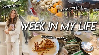 WEEK IN MY LIFE | baby fever, Trader Joe’s haul, baking pumpkin waffles, home projects, busy week!