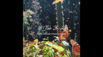 فقلت استغفروا ربكم انه كان غفارا /قران كريم /القارئ شريف مصطفى #قرآن_كريم #حالات_واتس