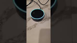 Alexa Play Not Alike By Eminem