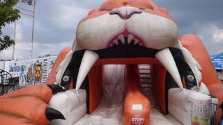 Kane County Fair Trip 2017