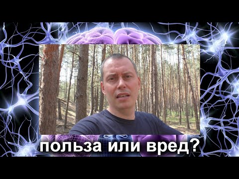 Магические грибы - доступ к магии мироздания. Лекарство или яд. Где правда а где ложь.