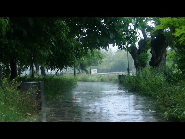 Morning Rain - Heavy Rain Sounds and Thunder in The Square for Sleep, Relax class=