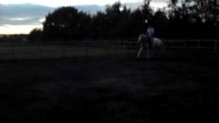 MOV00257