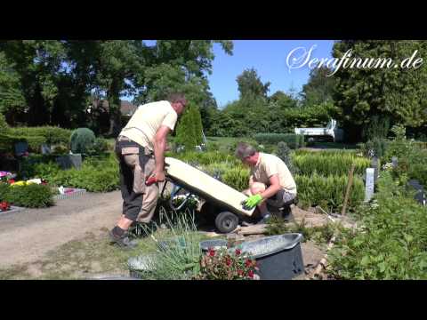 Grabstein mit Engel "Clarissa" • Aufbau auf dem Friedhof