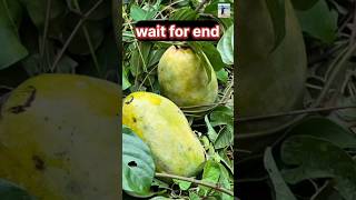 wait for end #comedy #funny #memes #gautam rojasara #lifeisbutadream #fun #gatu #gatudo #funnyscenes