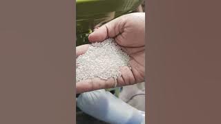 FB VID 3381715362740720988