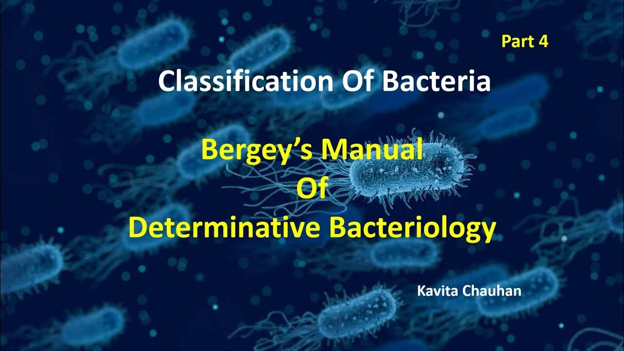 Classification Of Bacteria | Bergey's Manual Of Determinative