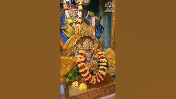 Thumbnail of ISKCON Vizag Darshan - 01.03.2024 #darshan #iskconvizag #radhadamodar