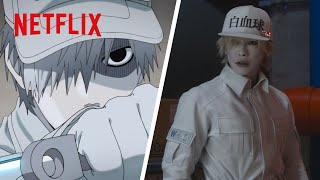 Download Lagu The Sneeze | Live Action VS Anime | Cells At Work! | Netflix Anime MP3 Download Lagu The Sneeze | Live Action VS Anime | Cells At Work! | Netflix Anime MP3