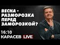 Разморозка перед заморозкой? Карасев LIVE.