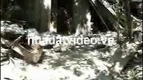 Bán đất Nguyễn Văn Cừ, Long Biên