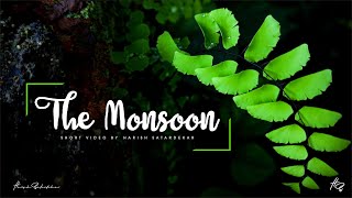 The Monsoon  A Cinematic Short Video | Nature | Sony A5100