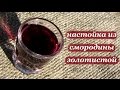 Рецепт настойки из смородины золотистой