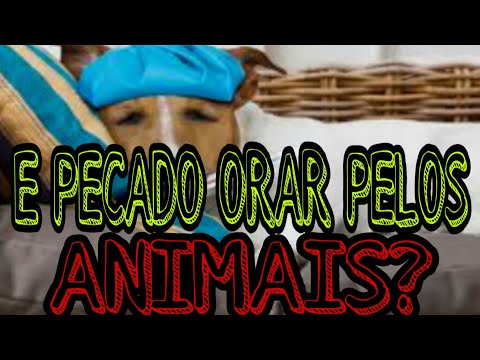 Vídeo: É Possível Orar Por Animais Que Estão Doentes Ou Mortos Na Ortodoxia