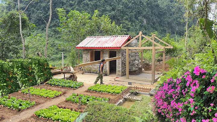 CEO Leaves the City for the Forest – Building a Wooden Kitchen in a Green Garden