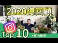 2020全球最流行的室內觀葉植物   ｜宅栽｜