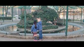 Viana do castelo| #portugal #society #portugalcity #ytshorts #youtubeshorts #viana do castelo