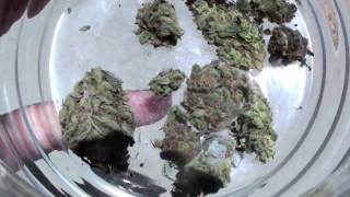 Super Danky Dank Marijuana, The Dankest Bud I THINK ! HD read info