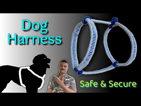 वीडियो: अपने कुत्ते को कैसे सुलाएं: 8 कदम (चित्रों के साथ)