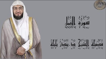 فضيلة الشيخ د.بندر بليلة سورة النمل كاملة