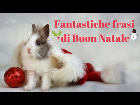 #Natale - 🎄🌟Frasi Di Buon Natale ! 🎄🌟