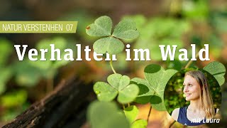 Wie verhalte ich mich im Wald? - NATUR VERSTEHEN mit Laura