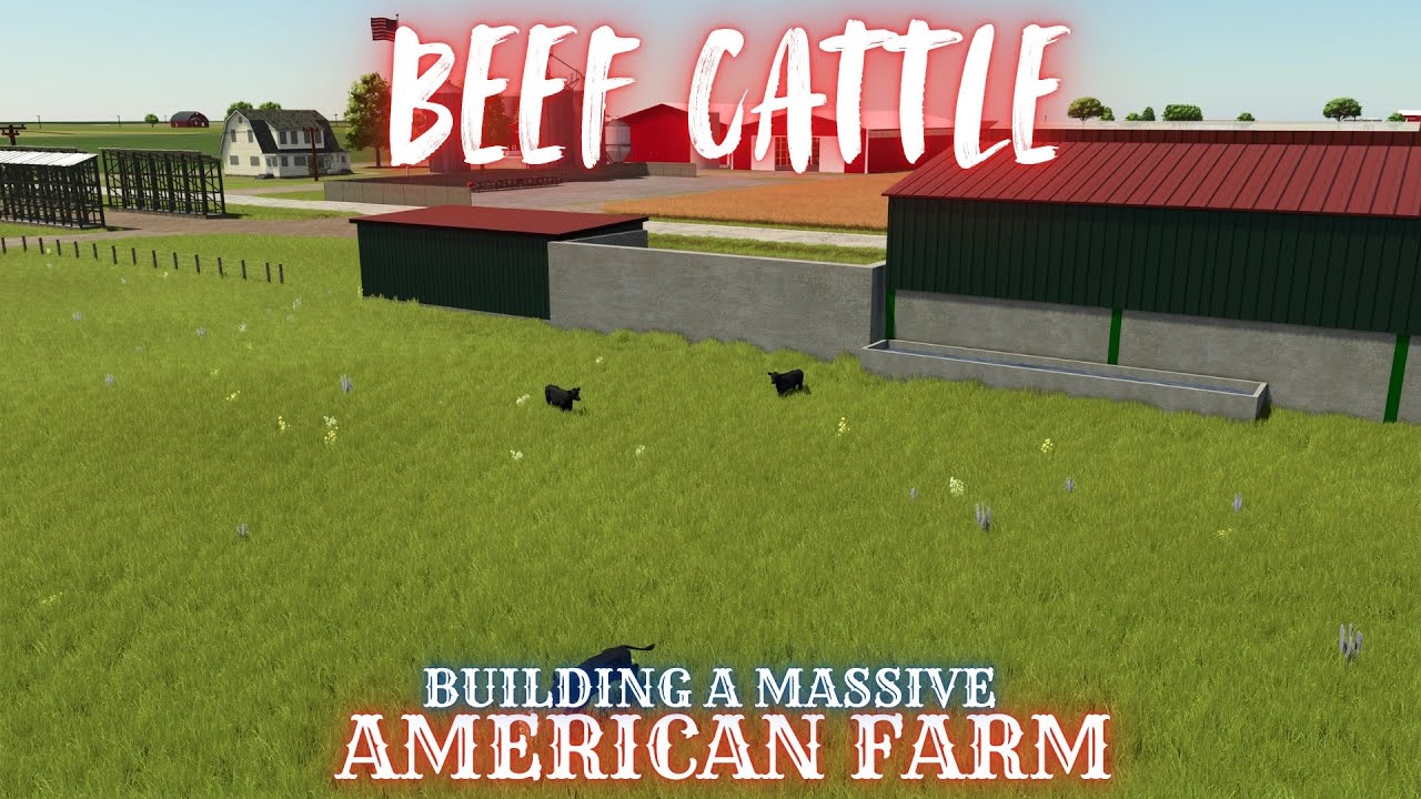BEEF CATTLE - Farming Simulator 25
